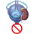 Congenital Urological Anomalies Correction
