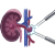Kidney Urological Tumors by Endoscopy Laparoscopic Surgery